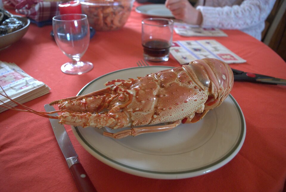 Zdjęcie przedstawia blat stolika w restauracji. Na talerzu leży ugotowany homar.