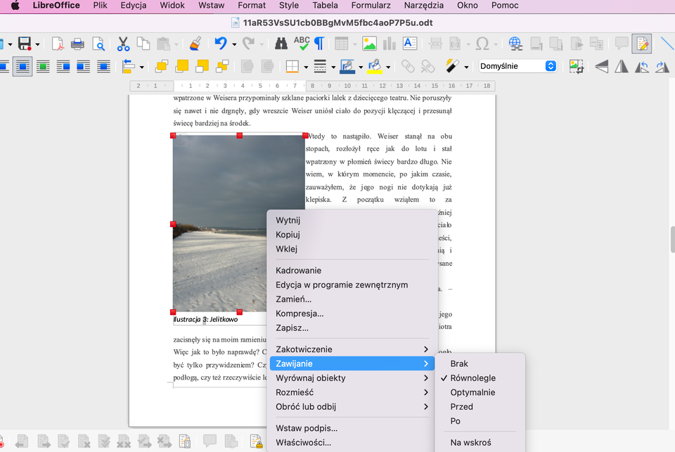 Zrzut ekranu przedstawia dokument tekstowy otwarty w LibreOffice Writer, w którym wstawiono zdjęcie zimowego krajobrazu — śnieżne pole lub droga na tle pochmurnego nieba, z niewielkimi drzewami widocznymi po lewej stronie. Pod zdjęciem znajduje się podpis „Ilustracja 3: Jelitkowo”. Obraz jest aktywny, oznaczony czerwoną ramką z uchwytami do zmiany rozmiaru. Na zdjęciu widoczny jest kontekstowe menu podręczne (prawy przycisk myszy) z rozwiniętą opcją „Zawijanie”, gdzie zaznaczony jest tryb „Równolegle”. Pozostała część ekranu pokazuje tekst literacki otaczający zdjęcie oraz pasek narzędzi na górze programu.