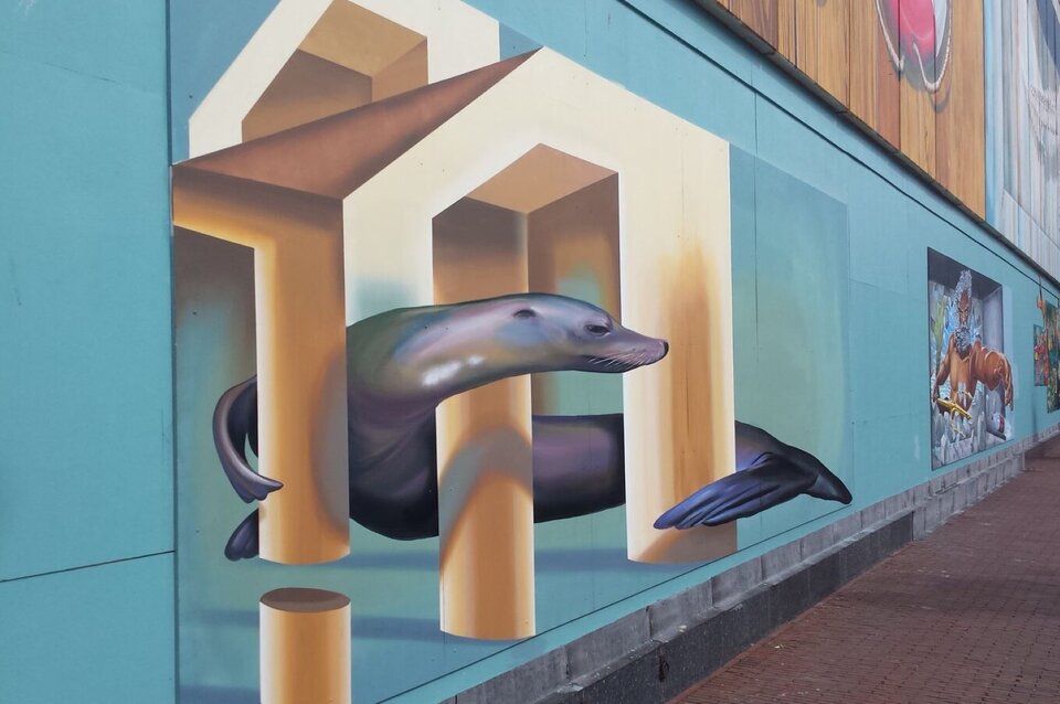Zdjęcie przedstawia ścianę budynku, na którym namalowany został obraz 3D. Malowidło prezentuje błyszczącą, dużą fokę, która oplata swymi płetwami elementy filarów i sprawia wrażenie jakby miała zaraz wyskoczyć ze ściany.