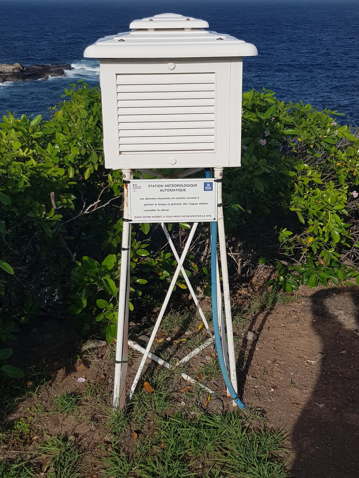 Zdjęcie przedstawia klatkę meteorologiczną stojącą w słońcu. Klatka ma postać białego domku z daszkiem, stojącego na drewnianych tyczkach. W tle widać roślinność i morze.