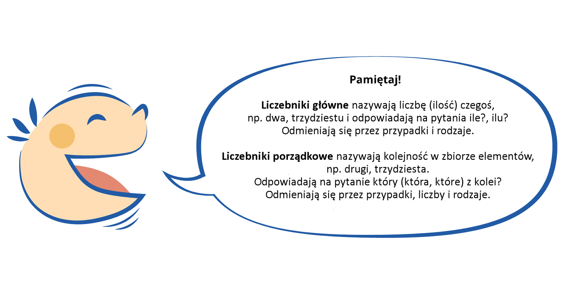 Grafika przedstawia głowę dziecka z komiksowym dymkiem. w dymku znajduje się tekst: Pamiętaj! Liczebniki główne nazywają liczbę (ilość) czegoś, np. dwa, trzydziestu i odpowiadają na pytania ile? ilu? Odmieniają się przez przypadki i rodzaje. Liczebniki porządkowe nazywają kolejność w zbiorze elementów, np. drugi, trzydziesta. Odpowiadają na pytanie: który (która które) z kolei? Odmieniają się przez przypadki, liczby i rodzaje.