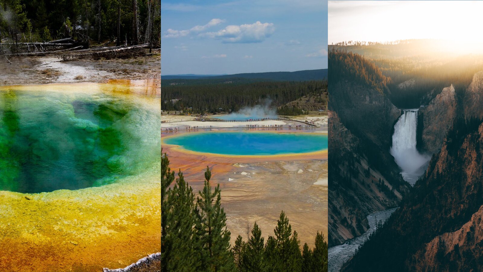 Ilustracja składa się z trzech zdjęć w pionie. Pierwsze zdjęcie od lewej przedstawia zbiornik wodny, którego woda pośrodku jest intensywnie zielona, zaś na brzegach żółta. W głębi widoczne są połamane drzewa. Na prawo widoczne jest zdjęcie przedstawiające zbiornik wodny, którego woda pośrodku jest intensywnie zielona, zaś na brzegach ma kolor od żółtego po pomarańczowy. W drugim planie widoczne są wzgórza porośnięte drzewami iglastymi, zaś w tle kolejne pasma górskie. Na pierwszym planie u dołu widoczne są korony drzew iglastych. Na zdjęciu po prawej stronie widoczny jest górski wodospad. Pośrodku widoczny jest wodospad ze spienioną spadającą wodą, która następnie przechodzi w rzekę. Po obydwu stronach widoczne są stoki skalistych gór porośnięte iglastymi drzewami. W tle widoczny jest pasmo gór oświetlone intensywnie promieniami słońca.