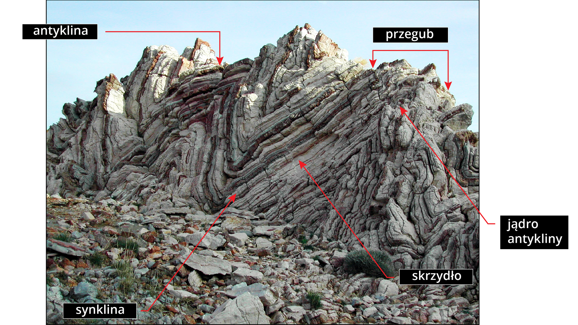 Zdjęcie przedstawia fragment górskiego grzbietu. Układ skał tworzy fale w poziomie. Zaznaczono antyklinę - wypukły fałd, jądro antykliny - wewnętrzna część fałdu, przegub - odcinek warstwy fałdowanej o największej krzywiźnie, synklinę - wklęsły fałd, skrzydło - część fałdu zawarta między powierzchnią osiową fałdu a powierzchnią osiową fałdu przyległego. 