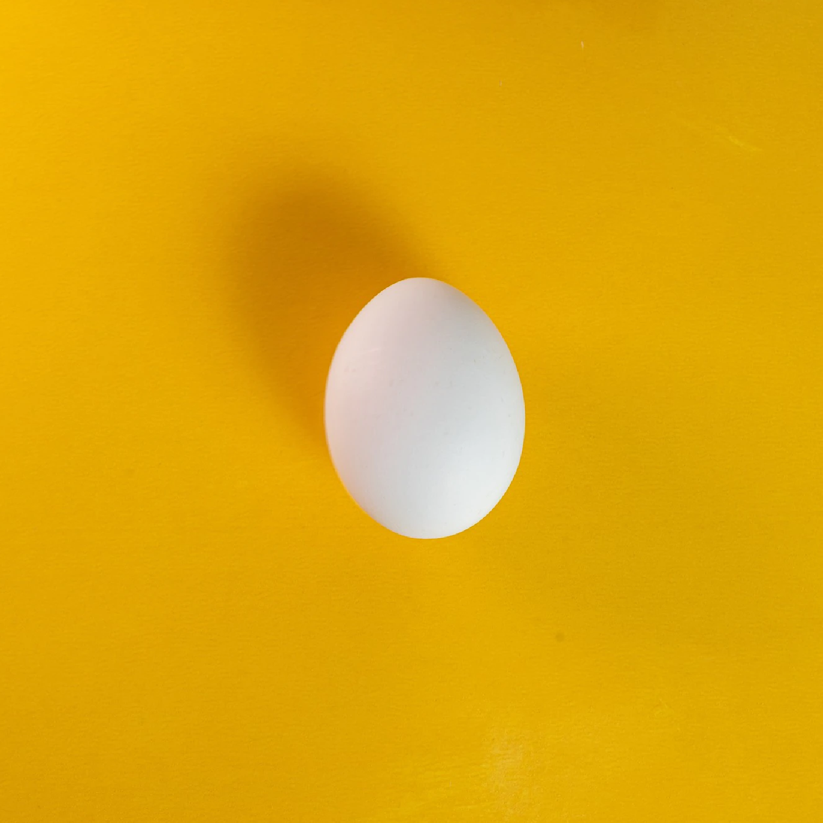 Zdjęcie przedstawia kurze jajko. 