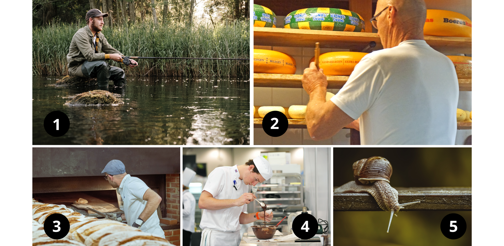 Ilustracja składa się z pięciu ponumerowanych zdjęć: 1. Zdjęcie przedstawia rybaka z wędką nad wodą. 2. Zdjęcie przedstawia mężczyznę stojącego obok półki z serami. 3. Zdjęcie przedstawia mężczyznę wyjmującego chleb z pieca. Obok widoczne są bochenki chleba. 4. Zdjęcie przedstawia mężczyznę przygotowującego polewę na ciasto. 5. Zdjęcie przedstawia ślimaka.