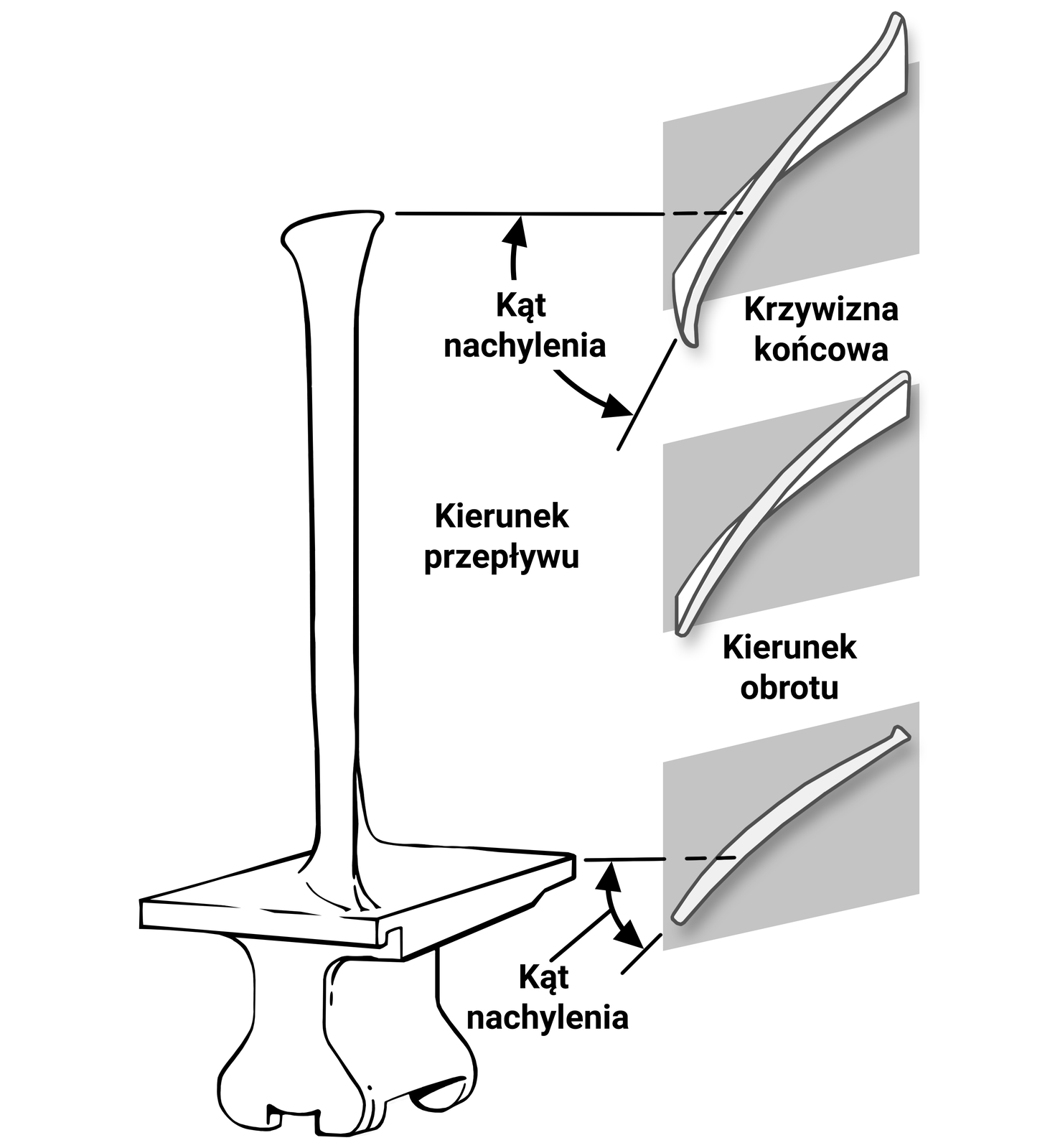 Ilustracja przedstawia schemat konstrukcji łopatek sprężarki, ich kąty nachylenia, krzywizny końcowe i kierunki obrotu i przepływu. Z lewej strony widoczna jest pojedyncza łopatka z jej mocowaniem. Z prawej strony widoczne są trzy przekroje łopatki, obrazujące jej skręt przy podstawie, w połowie jej długości i na jej końcu. Kąty nachylenia zaznaczone są na dolnym i górnym przekroju, przy końcu łopatki kąt ten jest większy niż przy podstawie.
