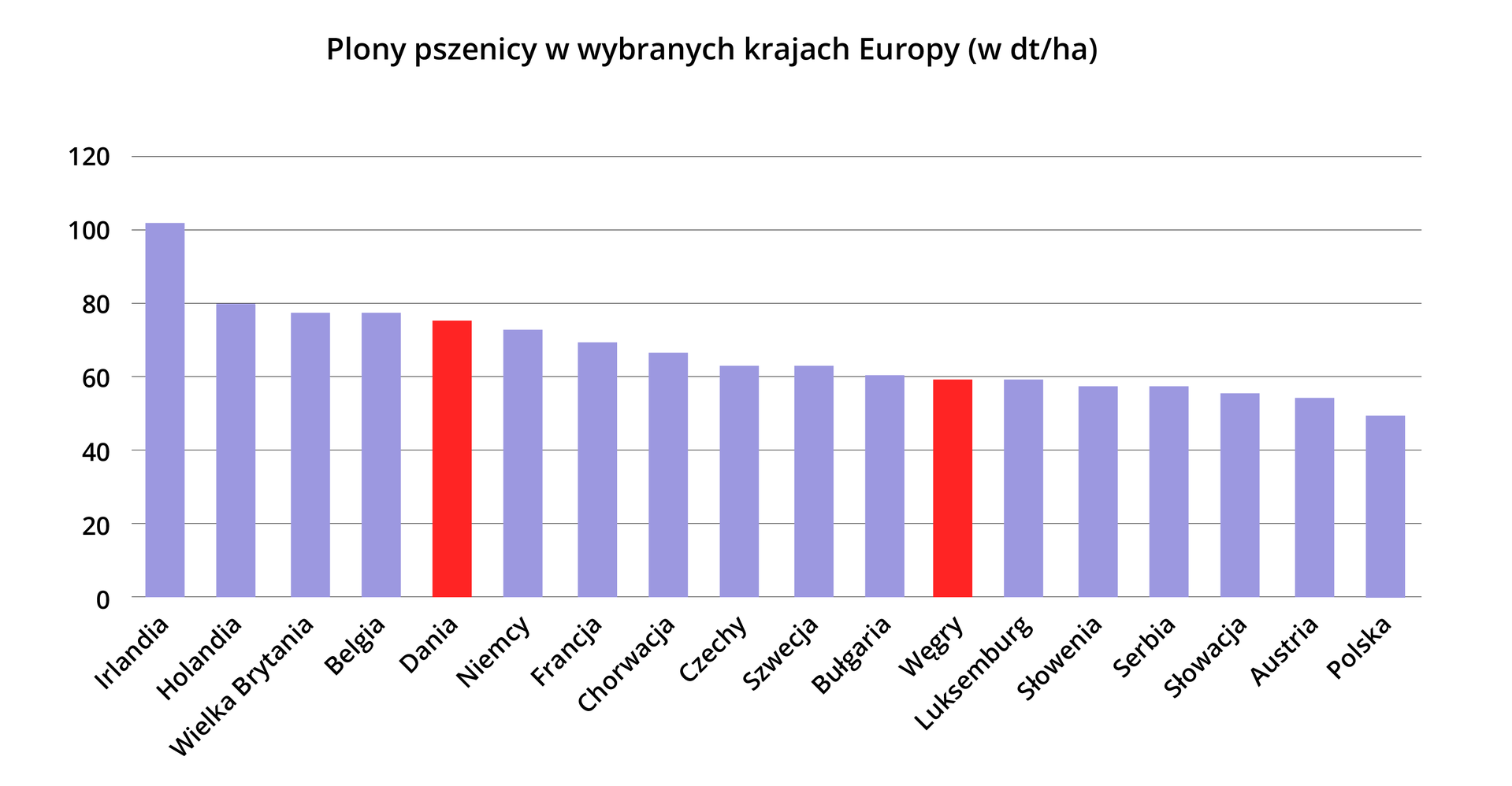 Wykres słupkowy - Plony pszenicy w wybranych krajach Europy (w dekatonach na hektar). Dania około 77, Węgry około 59.