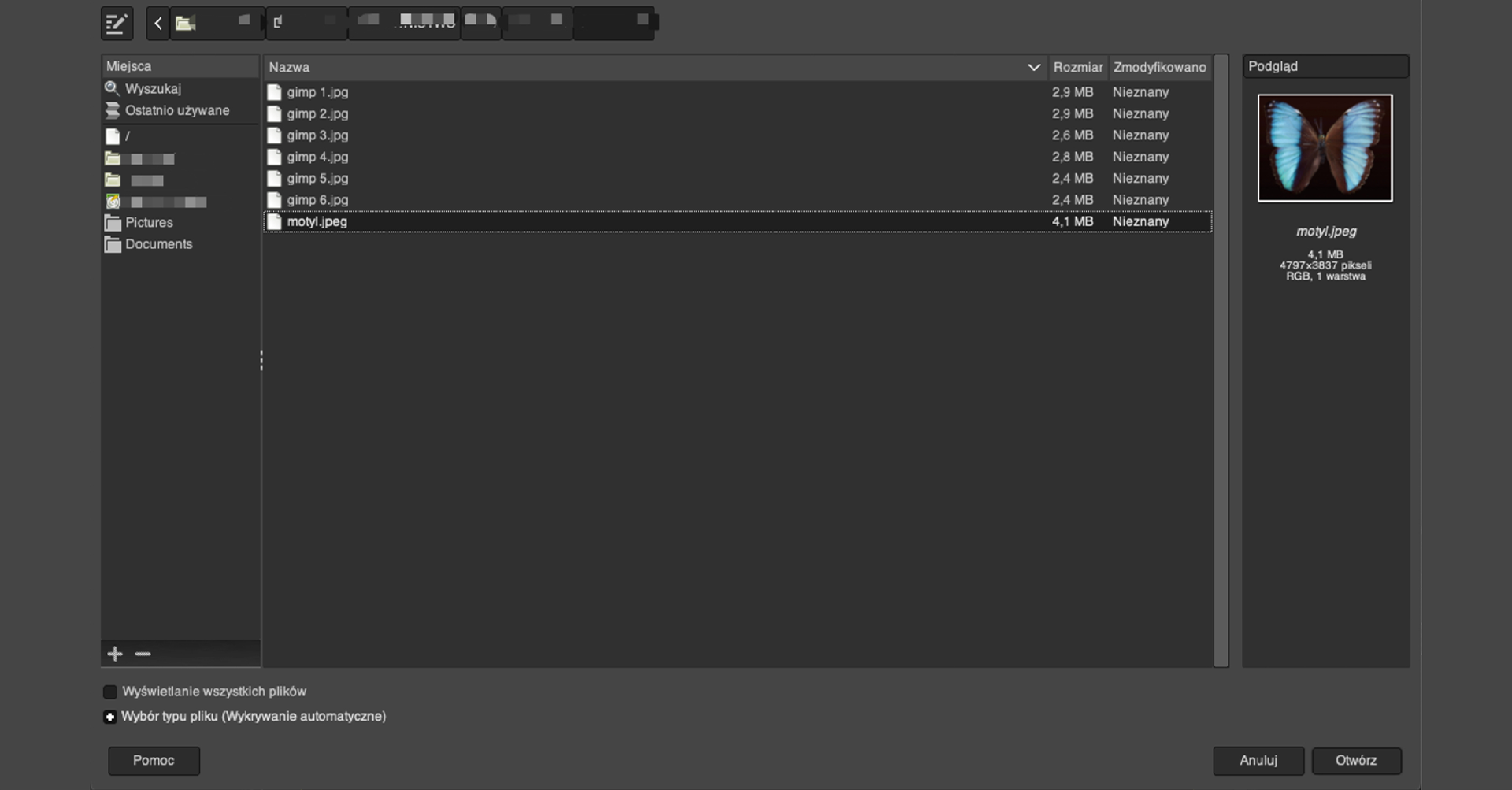 Ilustracja przedstawia okno, w którym z listy zaznaczono konkretny obrazek - motyl.jpeg. Po prawej stronie jest podgląd obrazka wraz z jego parametrami: motyl.jpeg, 4,1 MB 4797 na 3837 pikseli, RGB jedna warstwa.