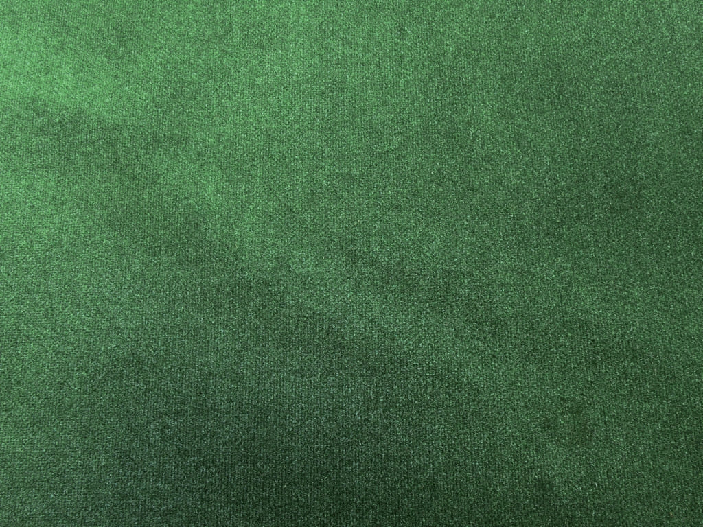 Na zdjęciu ukazano próbkę pluszu w kolorze zielonym.