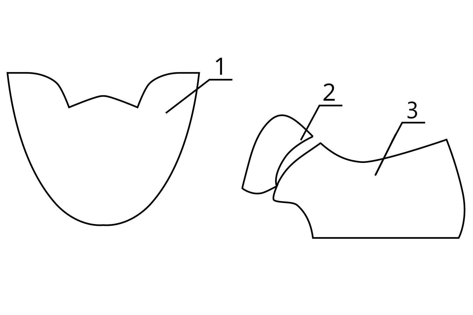 Grafika przedstawia dwa schematy, po lewej stronie kształt przypominający tulipana, od którego odchodzi linia opisana jako 1, po prawej stronie podłużny, nieregularny kształt, od którego odchodzi linia opisana jako 2.