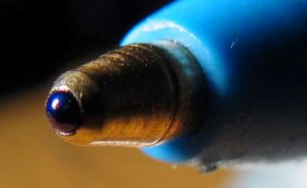 Ilustracja przedstawia sfotografowaną w dużym zbliżeniu  końcówkę długopisu żelowego.