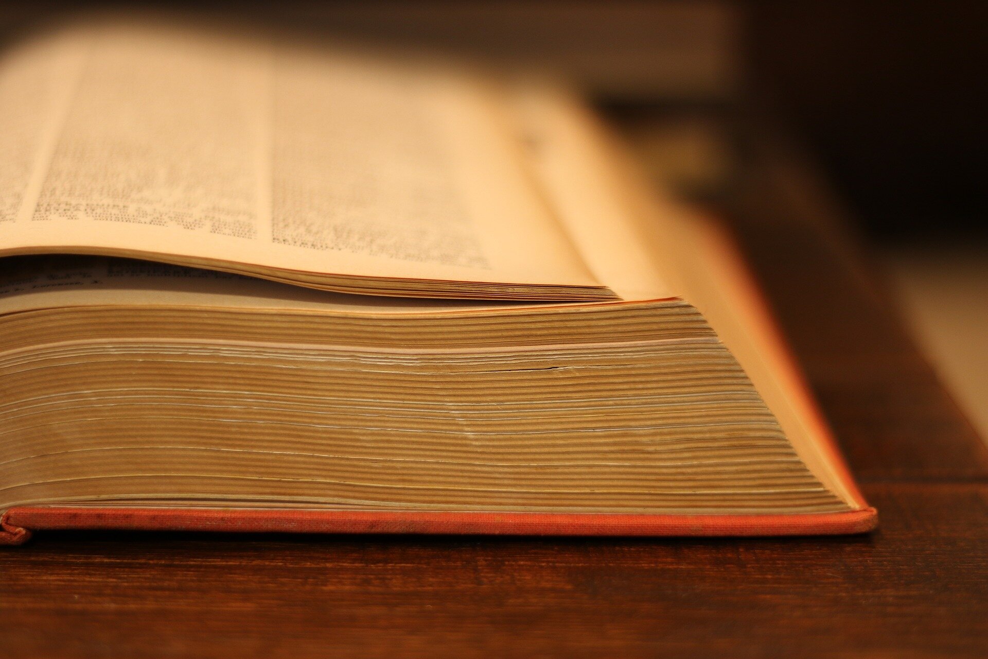 Zdjęcie przedstawia otwarty słownik