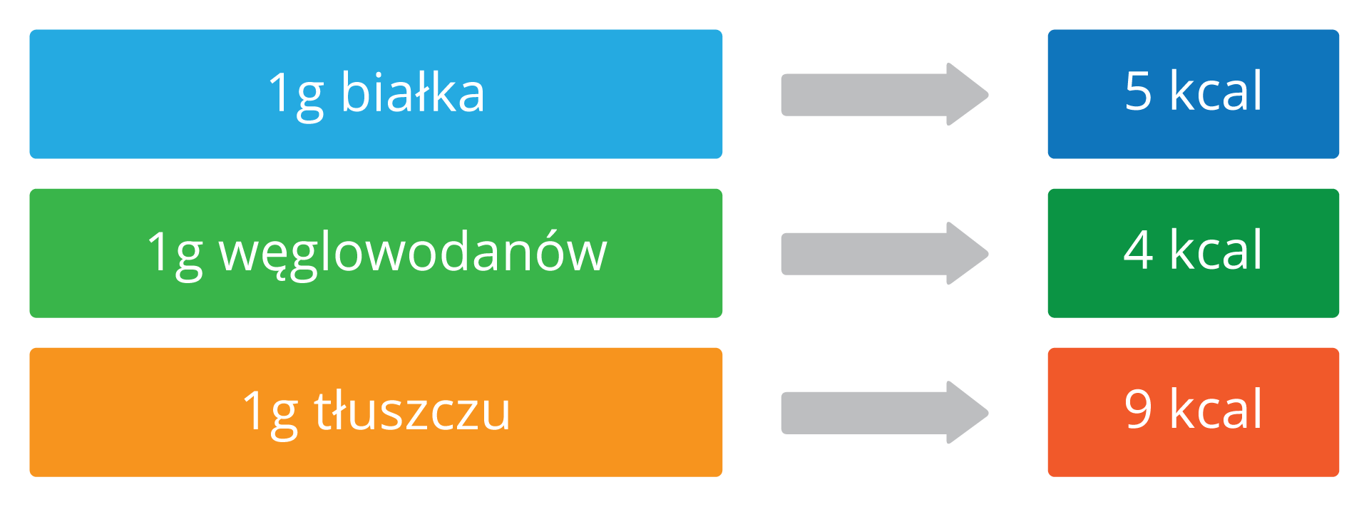 Schemat przedstawia wartość energetyczną składników pokarmowych. Na niebieskim tle napis: jeden gram białka, po strzałce 5 kilokalorii. Na zielonym tle napis: jeden gram węglowodanów, po strzałce 4 kilokalorie. Na pomarańczowym tle napis: jeden gram tłuszczu, po strzałce 9 kilokalorii.