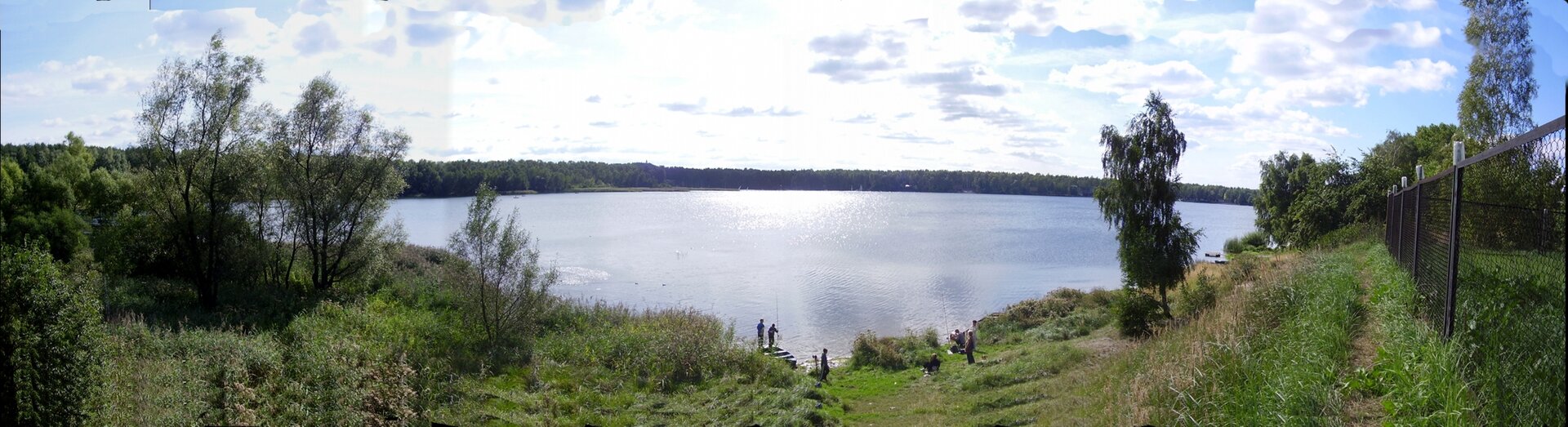 Na zdjęciu zbiornik wodny. Na tafli wody unosi się roślinność, przy brzegu szuwary, na drugim planie brzeg porośnięty lasem liściastym.