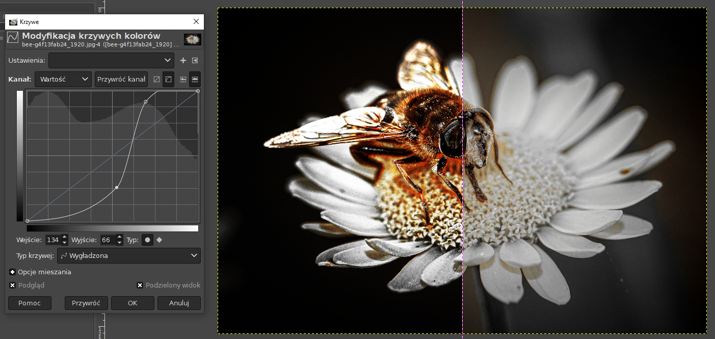 Ilustracja przedstawia okno programu. Po lewej stronie okna jest panel dotyczący Modyfikacji krzywych kolorów. Tam wykres z krzywą, która się wznosi. Krzywa jest w dolnym odcinku wklęsła w kierunku lewej strony. Na zdjęciu w obszarze roboczym okna jest pszczoła siedząca na białym kwiatku. Przez środek zdjęcia pionowo poprowadzono linię. Zdjęcie po lewej stronie linii jest wyraźne, ma intensywne kolory, płatki kwiatka mają szarawe brzegi i końcówki, prawa część zdjęcia ma nieco przygaszone kolory, szare tło.   