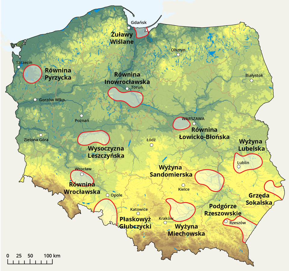Mapa Polski przedstawia regiony rolnicze. W okolicach Gdańska i Mierzei Wiślanej znajdują się Żuławy Wiślane. Na południowy wschód od Szczecina znajduje się Równina Pyrzycka. Pod Toruniem znajduje się Równina Inowrocławska. Na zachód od Warszawy znajduje się Równina Łowicko Błońska. Pod Poznaniem znajduje się Wysoczyzna Leszczyńska. W okolicach Wrocławia znajduje się Równina Wrocławska. Pod Opolem do granicy kraju znajduje się Płaskowyż Głubczycki. Na północny wschód od Krakowa znajduje się Wyżyna Miechowska. Na wschód od Kielc znajduje się Wyżyna Sandomierska. W okolicach Lublina znajduje się Wyżyna Lubelska. W okolicach Rzeszowa do granicy kraju znajduje się Podgórze Rzeszowskie. Na północny wschód od Rzeszowa przy granicy kraju znajduje się Grzęda Sokalska.