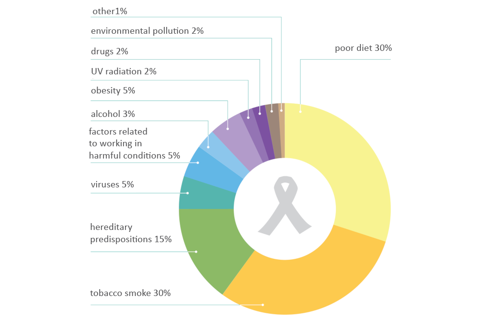 Ilustracja w formie diagramu pierścieniowego. Wewnątrz szary symbol wstążki – walki z rakiem. Poszczególne czynniki zwiększające ryzyko chorób nowotworowych zaznaczono różnymi kolorami. Największy udział procentowy mają kolejno: nieodpowiednia dieta i palenie tytoniu (30 procent) zaznaczone w odcieniach żółci, predyspozycje dziedziczne (15 procent, kolor zielony). Najmniejsze ryzyko wiąże się ze skażeniem środowiska, promieniowaniem UV i narkotykami (po 2 procent). Na diagramie są napisy: other1%, environmental pollution 2%, drugs 2%, UV radiation 2%, obesity 5%, alcohol 3%, factors related to working in harmful conditions 5% ,viruses 5%, hereditary predispositions 15%, tobacco smoke 30% ,poor diet 30% ,