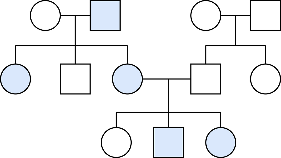 Ilustracja przedstawia rodowód rodziny, w której występuje cecha sprzężona z płcią dziedziczona dominująco. Pierwszą parę tworzy zdrowa kobieta oraz chory mężczyzna. Mają oni trójkę dzieci: dwie chore córki oraz zdrowego syna. Drugą parę tworzy zdrowy mężczyzna oraz zdrowa kobieta. Posiadają oni dwójkę dzieci: zdrowego syna oraz zdrową córkę. Jedna z chorych córek pierwszej pary tworzy parę ze zdrowym synem drugiej pary. Para ta ma trójkę dzieci: zdrową córkę oraz drugą chorą córkę i chorego syna.