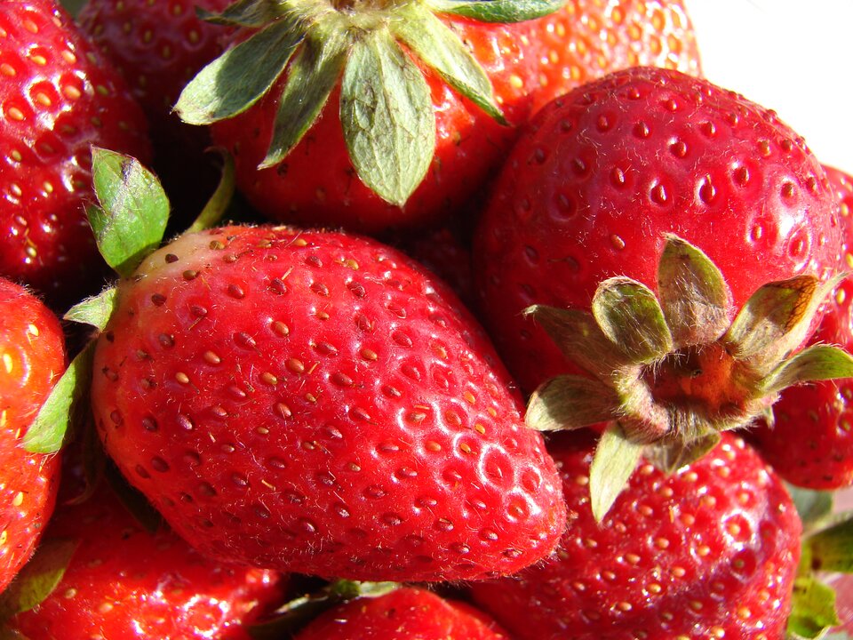 Zdjęcie przedstawia leżące na sobie owoce poziomki ananasowej. To popularne truskawki. Owoce mają intensywnie czerwoną, równomiernie wybarwioną i lekko błyszczącą skórkę. Są niewielkie, mają owalny kształt. Na powierzchni owoców znajdują się liczne drobne ziarenka. 