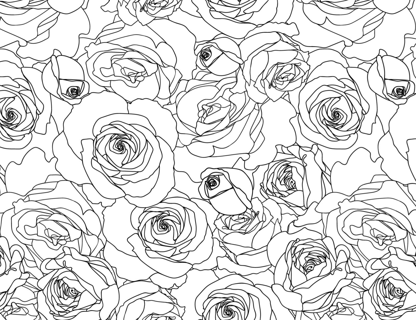 Rysunek cienkopisem wypełnia całą kartkę kwiatowym ornamentem złożonym ze słabo rozwiniętych róż. Kwiaty ułożone są obok siebie w różnych kierunkach, jedne są małe, inne duże, jedne bardziej rozkwitnięte, inne mniej. Kreska jest cienka, równej grubości, finezyjna, łącząca wszystkie elementy w jedną całość.