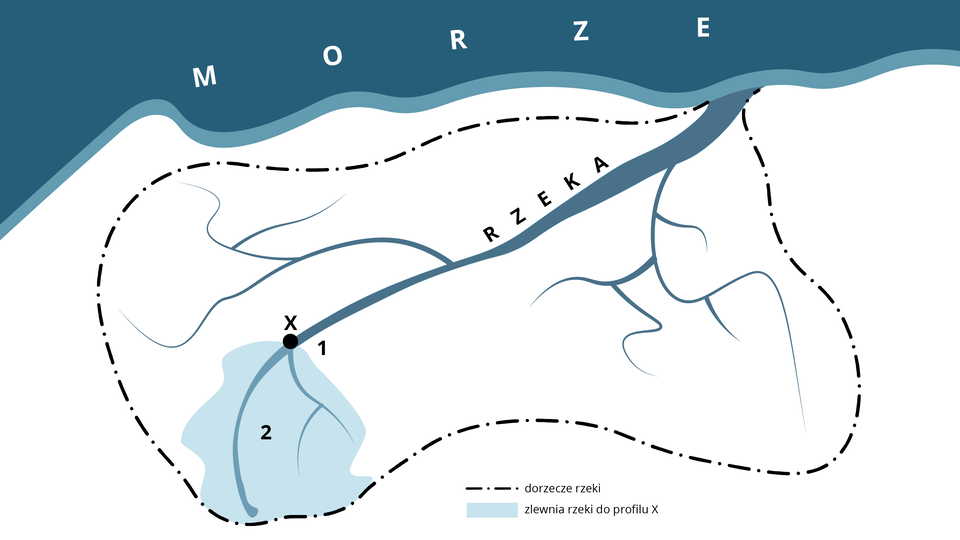 Na zdjęciu widoczny jest fragment brzegu i morza. Z morza w kierunku lądu wpływa rzeka. W końcowej części koryta rzeki oznaczono punkt X. Obszar wokół koryta rzeki to dorzecze. Na końcu koryta rzeki znajduje się mniejszy obszar - to zlewnia rzeki do profilu X. 