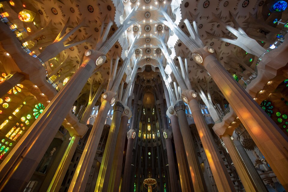 Ilustracja przedstawia wnętrze katedry Sagrada Família. Ukazuje wysokie, smukłe kolumny przypominające pnie drzew, które rozgałęziają się ku górze i podtrzymują złożone sklepienie o geometrycznych i organicznych wzorach. Światło wpadające przez kolorowe witraże tworzy na kamiennych powierzchniach intensywne barwy, podkreślając rytm kolumn i wysokość całej przestrzeni. Widać fragmenty górnych partii nawy o jasnym kolorze.