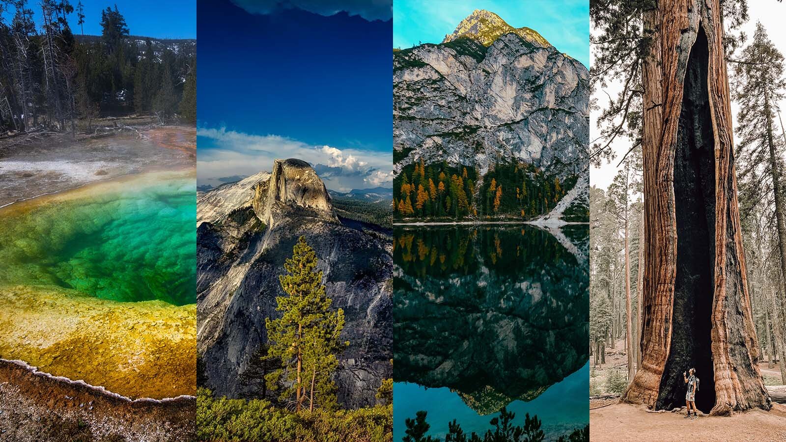 Ilustracja składa się z czterech zdjęć w pionie. Pierwsze zdjęcie od lewej przedstawia zbiornik wodny, którego woda pośrodku jest intensywnie zielona, zaś na brzegach żółta. W głębi widoczne są wysokie drzewa oraz pasmo gór. Na prawo widoczne jest zdjęcie przedstawiające skaliste szczyty gór oświetlone słońcem, nad którymi widoczne jest intensywnie niebieskie niebo z białymi chmurami tuż nad szczytami. Na pierwszym planie widoczne jest jedno wysokie drzewo iglaste oraz korony iglastych drzew u dołu. Na prawo widoczne jest zdjęcie przedstawiające górski zbiornik wodny, którego woda jest intensywnie ciemnoniebieska. W tafli wody odbijają się szczyty skalistych gór w kolorze szarym. W tle widoczne jest skaliste pasmo górskie, a za nim oświetlony słońcem pojedynczy szczyt. U podnóża gór, nad brzegiem zbiornika widoczny jest las mieszany, w którym drzewa liściaste mają pożółkłe liście. Na zdjęciu po prawej stronie widoczny jest las sekwoi. Na pierwszym planie widoczny jest pień wielkiej sekwoi, u podnóża którego stoi człowiek spoglądający do góry.