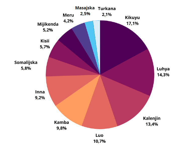Na ilustracji przedstawiony jest diagram kołowy przedstawiający strukturę ludności Kenii. Jest to kraj wielonarodowy, więc diagram ma wiele kolorów. Ludność Kenii stanowi kolejno plemię Kikuyu w ilości 17,1 procent całości osób zamieszkujących ten kraj, Luhya - 14,3 procent, Kalenjin - 13,4 procent, Luo - 10,7 procent, Kamba - 9,8 procent, inna - 9,2 procent, narodowość somalijska - 5,8 procent, Kisii - 5,7 procent, Mijikenda - 5,2 procent, Meru - 4,2 procent, Masajska - 2,5 procent oraz Turkana - 2,1 procent.