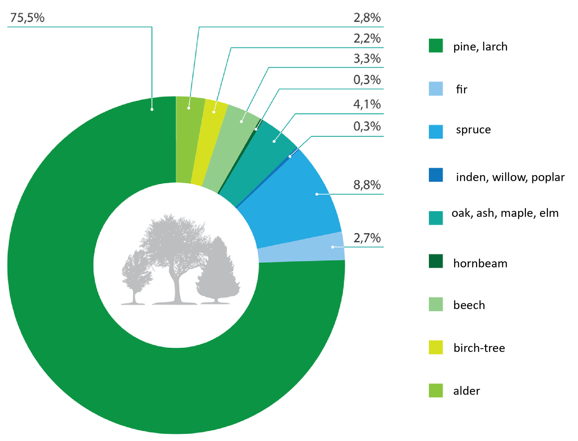 Wykres kołowy prezentujący udział różnych gatunków drzew w polskich lasach. W środku koła widnieją sylwetki trzech różnych drzew. Na obwodzie koła kolorami zaznaczono udział poszczególnych gatunków drzew: ciemnozielony – 75,5% sosna modrzew, niebieski – 8,8% świerk, ciemnoniebieski – 4,1% dąb, jesion, wiąz i klon, zielony – 3,3% buk, jasnozielony – 2,8% olcha, jasnoniebieski – 2,7% jodła, żółty – 2,2% brzoza, granatowy – 0,3% lipa, wierzba, topola, zielony – 0,3% grab. Podpisano: pine, larch,  fir, spruce, linden, willow, poplar, oak, ash, maple, elm, hornbeam,  beech, birch-tree, alder