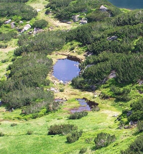 Zdjęcie przedstawia jezioro o spokojnej tafli, na którym znajduje się żaglówka.