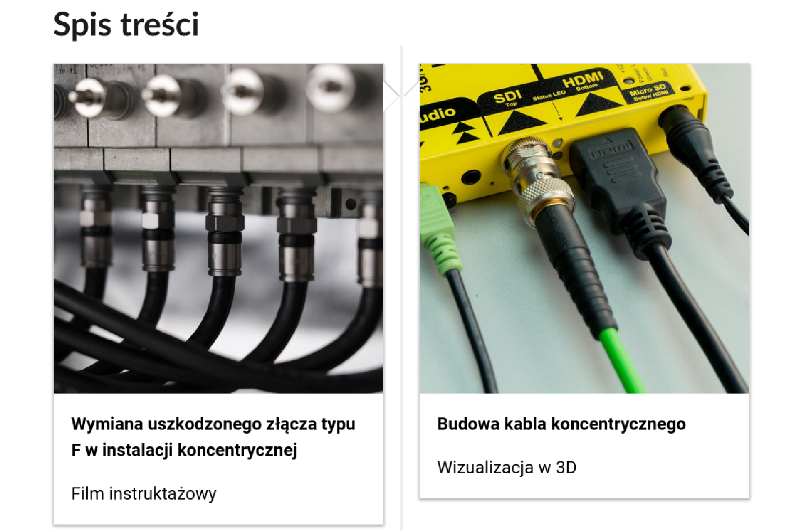 Przykładowy wygląd spisu treści.