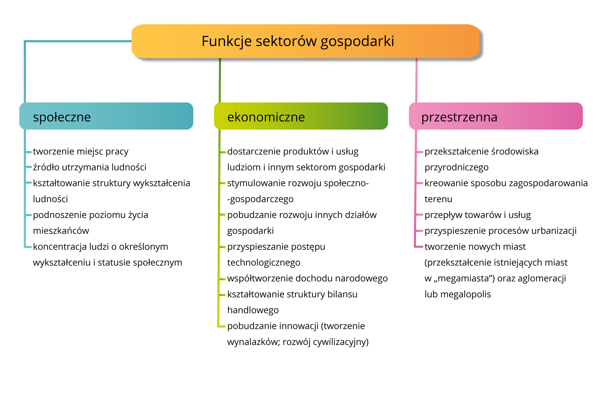 Grafika przedstawia funkcje sektorów gospodarki. Społeczne to tworzenie miejsc pracy, źródło utrzymania ludności, kształtowanie struktury wykształcenia ludności, podnoszenie poziomu życia mieszkańców, koncentracja ludzi o określonym wykształceniu i statusie społecznym. Ekonomiczne to dostarczenie produktów i usług ludziom i innym sektorom gospodarki, stymulowanie rozwoju społeczno gospodarczego, pobudzanie rozwoju innych działów gospodarki, przyspieszanie postępu technologicznego, współtworzenie dochodu narodowego, kształtowanie struktury bilansu handlowego, pobudzanie innowacji czyli tworzenie wynalazków, rozwój cywilizacyjny. Przestrzenne to przekształcenie środowiska przyrodniczego, kreowanie sposobu zagospodarowania terenu, przepływ towarów i usług, przyspieszenie procesów urbanizacji, tworzenie nowych miast, przekształcenie istniejących miast w megamiasta oraz aglomeracji lub megalopolis.