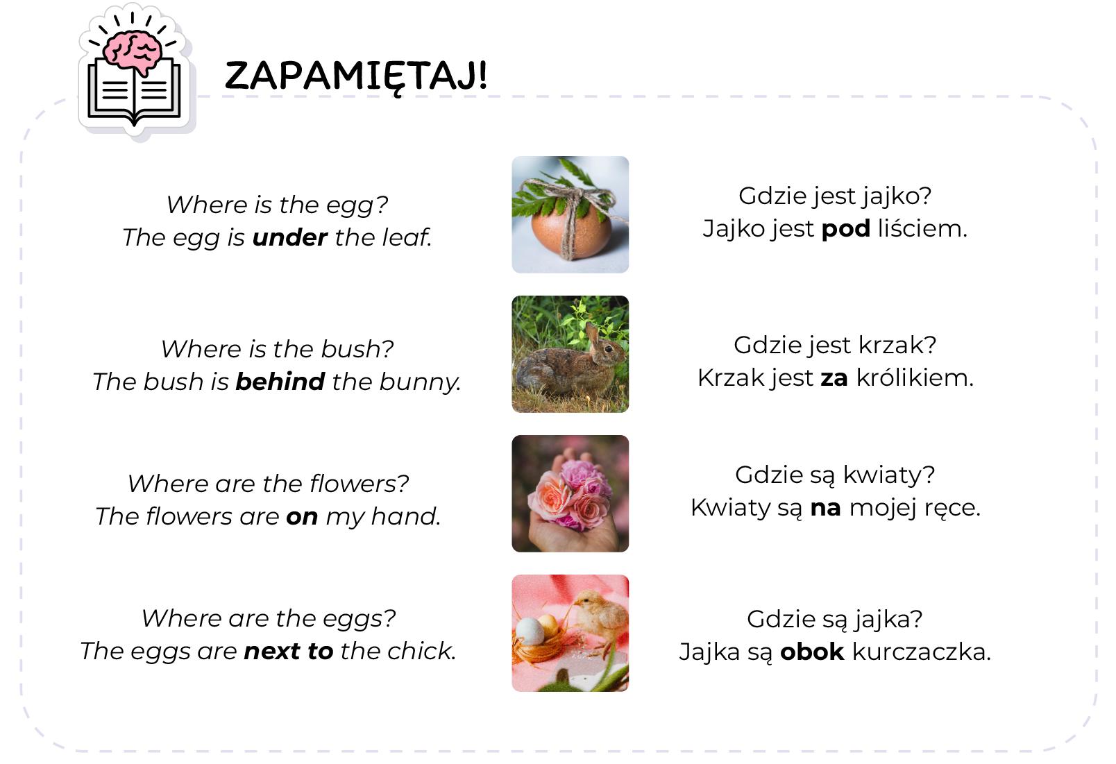 Ilustracja przedstawia listę z tekstem i zdjęciami. W lewym górnym rogu znajduje się ikona książki i mózgu. Obok znajduje się napis ZAPAMIĘTAJ. Lista ułożona jest w czterech wierszach. Po lewej stronie listy znajduje się tekst w języku angielskim. W tej samej linijce znajduje się ilustracja do tekstu, oraz tłumaczenie na język polski po prawej stronie. W angielskim i polskim tekście, zostały wyróżnione niektóre słowa, poprzez pogrubienie czcionki. Treść listy: 
Where is the egg? The egg is under the leaf. W tekście został wyróżniony wyraz: under. Zdjęcie przedstawia jajko z przywiązanym do niego liściem. Tekst w języku polskim brzmi: Gdzie jest jajko? Jajko jest pod liściem. W tekście został wyróżniony wyraz: pod.
Where is the bush? The bush is behind the bunny. W tekście został wyróżniony wyraz: behind Zdjęcie przedstawia siedzącego królika, za którym znajduje się krzak. Tekst w języku polskim brzmi: Gdzie jest krzak? Krzak jest za królikiem. W tekście został wyróżniony wyraz: za.
Where are the flowers? The flowers are on my hand. W tekście został wyróżniony wyraz: on Zdjęcie przedstawia dłoń trzymającą trzy różowe kwiaty. Tekst w języku polskim brzmi: Gdzie są kwiaty? Kwiaty są na mojej ręce. W tekście został wyróżniony wyraz: na.
Where are the eggs? The eggs are next to the chick. W tekście został wyróżniony wyraz: next to Zdjęcie przedstawia małego kurczaczka oraz dwa jajka. Tekst w języku polskim brzmi: Gdzie są jajka? Jajka są obok kurczaka. W tekście został wyróżniony wyraz: obok.
