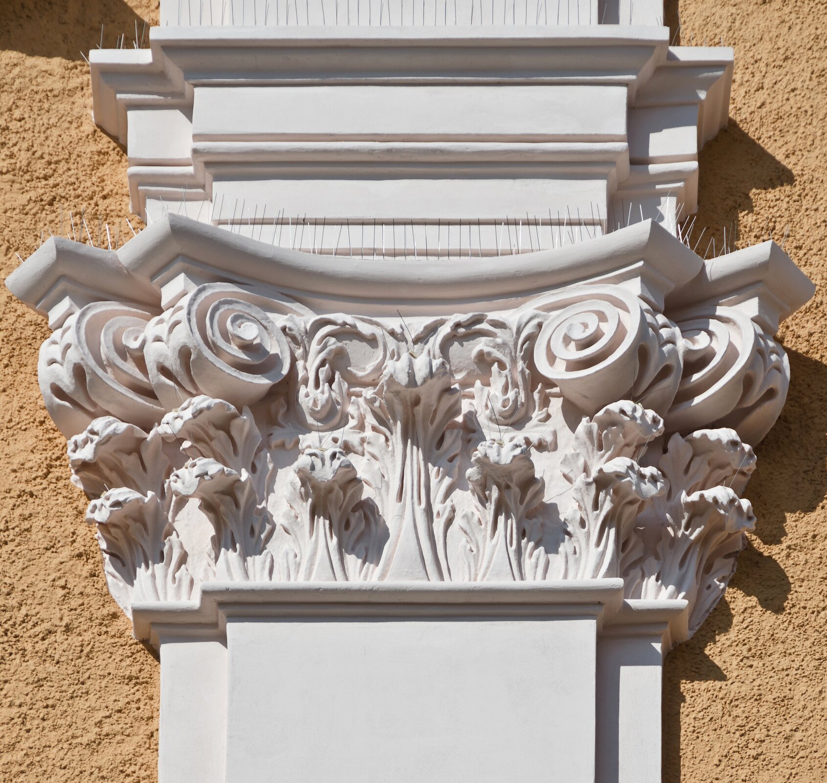 Zdjęcie przedstawia kapitel w porządku kompozytowym pilastra dekorowanego ornamentem roślinnym. Na fotografii został ukazany fragment beżowej elewacji.  Znajduje się na niej płaski, biały, ozdobny filar.