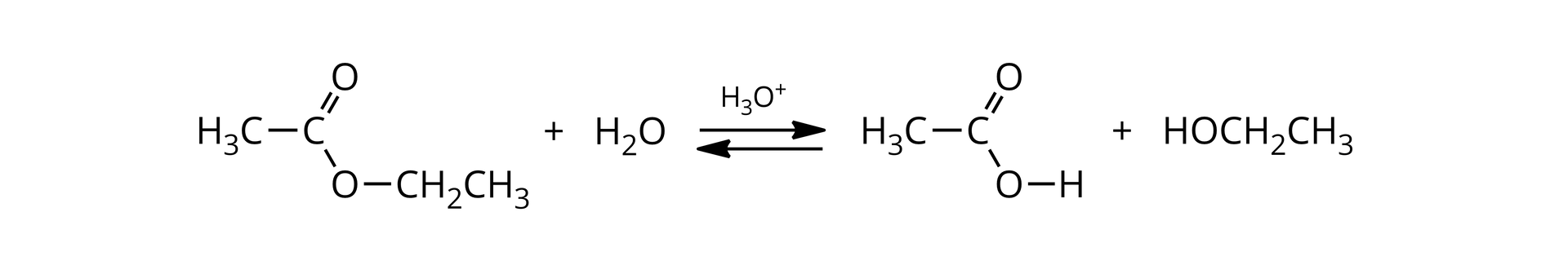 Na ilustracji znajduje się równanie reakcji: jedna cząsteczka octanu etylu dodać cząsteczka wody, strzałki w dwie strony, nad strzałkami zapis: jon oksoniowy, powstaje cząsteczka kwasu octowego dodać cząsteczka etanolu.