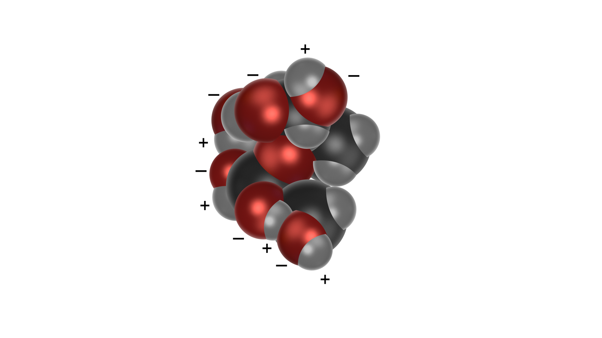 Ilustracja przedstawiająca model cząsteczki sacharozy, jednak w przeciwieństwie do poprzedniego rysunku w modelu kulkowym, bez ukazanych wiązań. Ponownie przy wszystkich atomach tlenu symbolizowanych przez czerwone kulki zaznaczono cząstkowe ładunki ujemne, a także przy wszystkich atomach wodoru symbolizowanych przez białe kulki.