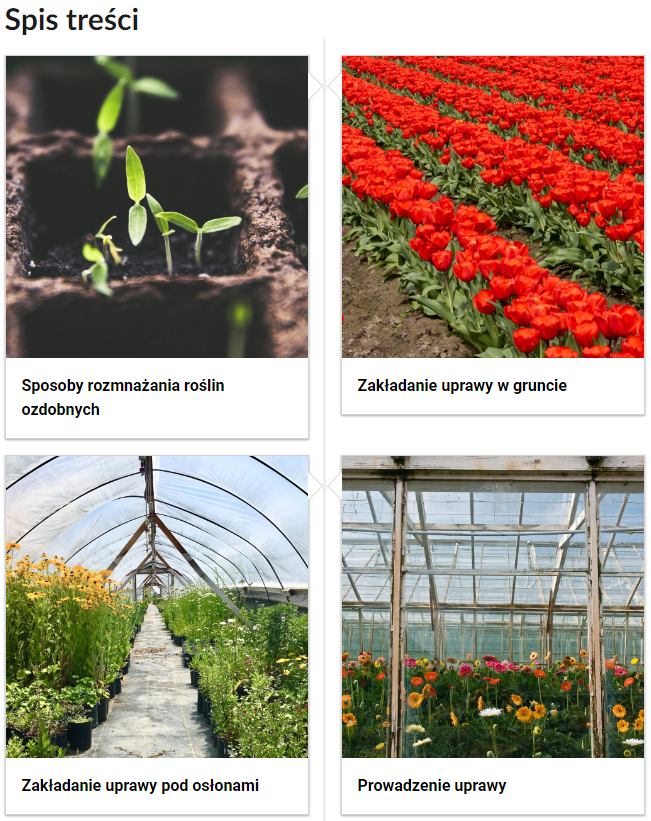 Grafika przedstawia przykładowy widok spisu treści. Widoczny jest napis: Spis treści. Poniżej znajdują się cztery kafelki. Pierwszy kafelek. Sposoby rozmnażania roślin ozdobnych. Drugi kafelek. Zakładanie uprawy w gruncie. Trzeci kafelek. Zakładanie uprawy pod osłonami. Czwarty kafelek. Prowadzenie uprawy.