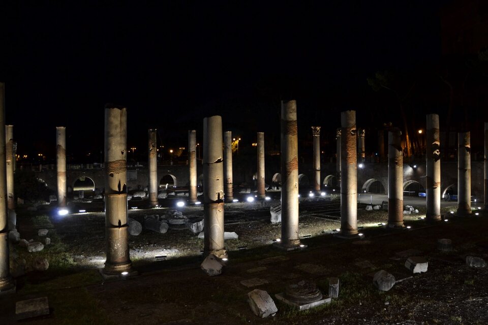 Ilustracja przedstawia fotografię wykonaną w nocy przy sztucznym oświetleniu. Znajdują się na niej trzony kolumn ustawione w rzędach, w stałych odległościach. Są oświetlone białym światłem, padającym od dołu, w ten sam sposób na wszystkie kolumny. 