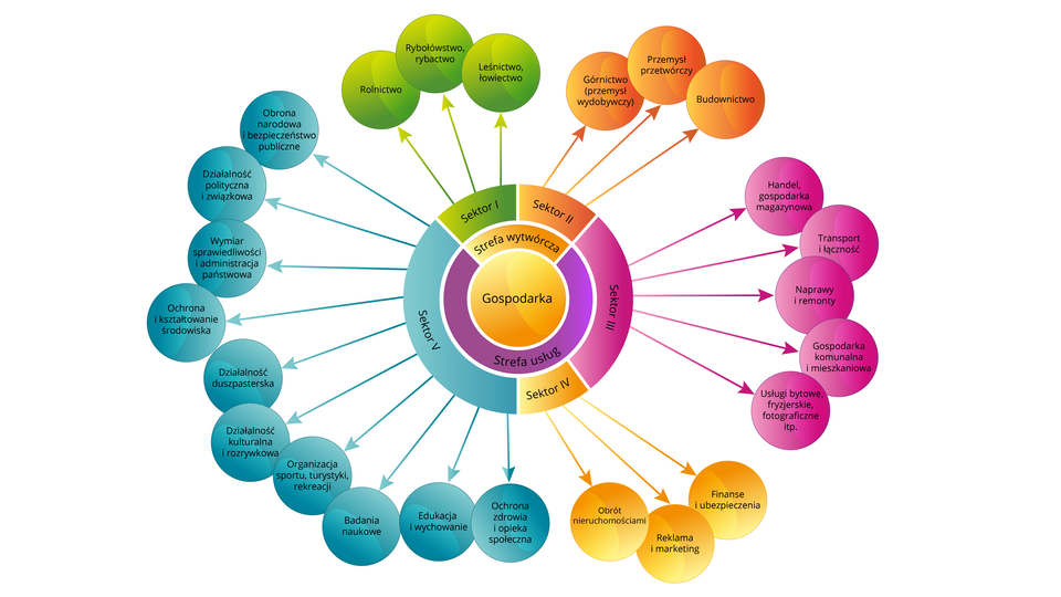 Ilustracja prezentuje w graficzny sposób podział gospodarki na pięć sektorów. Od koła z napisem "gospodarka" odchodzą strzałki do pół z napisami działów gospodarki z kolorystycznym ich przyporządkowaniem do danych sektorów. Gospodarka dzieli się na strefę wytwórczą, do której należy sektor pierwszy i drugi, oraz strefę usług, do której należą pozostałe sektory. Do sektora pierwszego należą: rolnictwo, rybołówstwo i rybactwo, leśnictwo i łowiectwo. Do sektora drugiego należą górnictwo, czyli przemysł wydobywczy; przemysł przetwórczy; budownictwo. Do sektora trzeciego należą: handel i gospodarka magazynowa, transport i łączność, naprawy i remonty, gospodarka komunalna i mieszkaniowa, usługi bytowe, fryzjerskie, fotograficzne i tym podobne. Do sektora czwartego należą: obrót nieruchomościami, reklama i marketing, finanse i ubezpieczenia. Do sektora piątego należą: ochrona zdrowia i opieka społeczna, edukacja i wychowanie, badania naukowe, organizacja sportu, turystyki, rekreacji, działalność kulturalna i rozrywkowa, działalność duszpasterska,  ochrona i kształtowanie środowiska, wymiar sprawiedliwości i administracja państwowa, działalność polityczna i związkowa, obrona narodowa i bezpieczeństwo publiczne.  