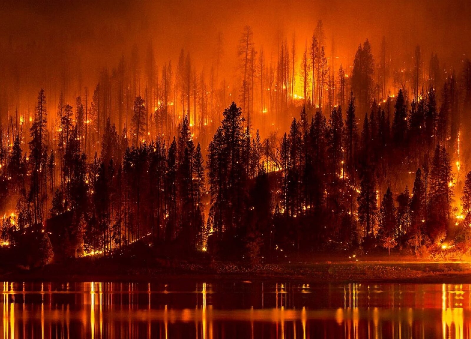 Zdjęcie przedstawia wielki pożar, który w nocy ogarnął wzgórza porośnięte drzewami. Wiele drzew jest całkowicie spalonych. Nad wzgórzami unoszą się pomarańczowo‑czerwone płomienie oraz dym. Na pierwszym planie widoczny jest pas wody, w której odbija się pożar. 