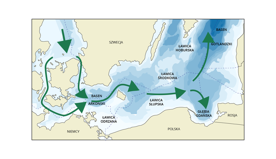 Na ilustracji jest mapa południowej części Bałtyku. Strzałkami zaznaczono wlew wody do Morza Bałtyckiego. Od południowo‑zachodniego wybrzeża Szwecji przez zatoki wokół Danii, Basen Arkoński, w kierunku głębi gdańskiej i na północ ku Basenowi Gotlandzkiemu. Na mapie zaznaczono także miejsce Ławicy Odrzańskiej - w północnej części Zatoki Pomorskiej, Ławicy Słupskiej, Ławicy Środkowej - na południowym Bałtyku, na południowy zachód od Ławicy Hoburskiej.