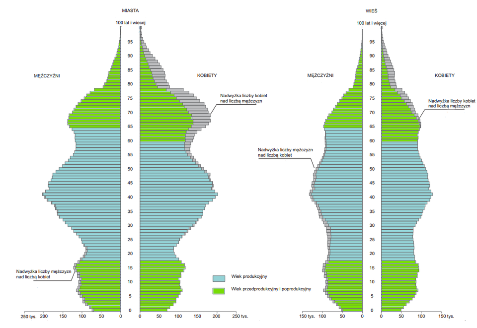 Wykres przedstawia strukturę ludności Polski według płci, wieku i miejsca zamieszkania – osobno dla miast i dla wsi. Po lewej stronie znajdują się piramidy wieku dla ludności miejskiej, po prawej dla ludności wiejskiej; w każdej piramidzie lewa część pokazuje mężczyzn, a prawa kobiety, w jednorocznych grupach wieku od 0 do 100 lat i więcej. Prostokątne słupki w dwóch odcieniach oznaczają: ciemniejszy – ludność w wieku produkcyjnym, jaśniejszy – ludność w wieku przedprodukcyjnym i poprodukcyjnym.

Kształt piramidy dla miast jest bardziej „wypukły” w wieku produkcyjnym, zwłaszcza w grupach 25–49 lat, co oznacza większą koncentrację osób w wieku aktywności zawodowej. Piramida dla wsi ma szerszą podstawę (więcej dzieci) i wyraźniej zaznaczone starsze roczniki, co świadczy o większym udziale ludności młodej i osób w wieku poprodukcyjnym na terenach wiejskich oraz relatywnie mniejszym udziale wieku produkcyjnego w porównaniu z miastami.