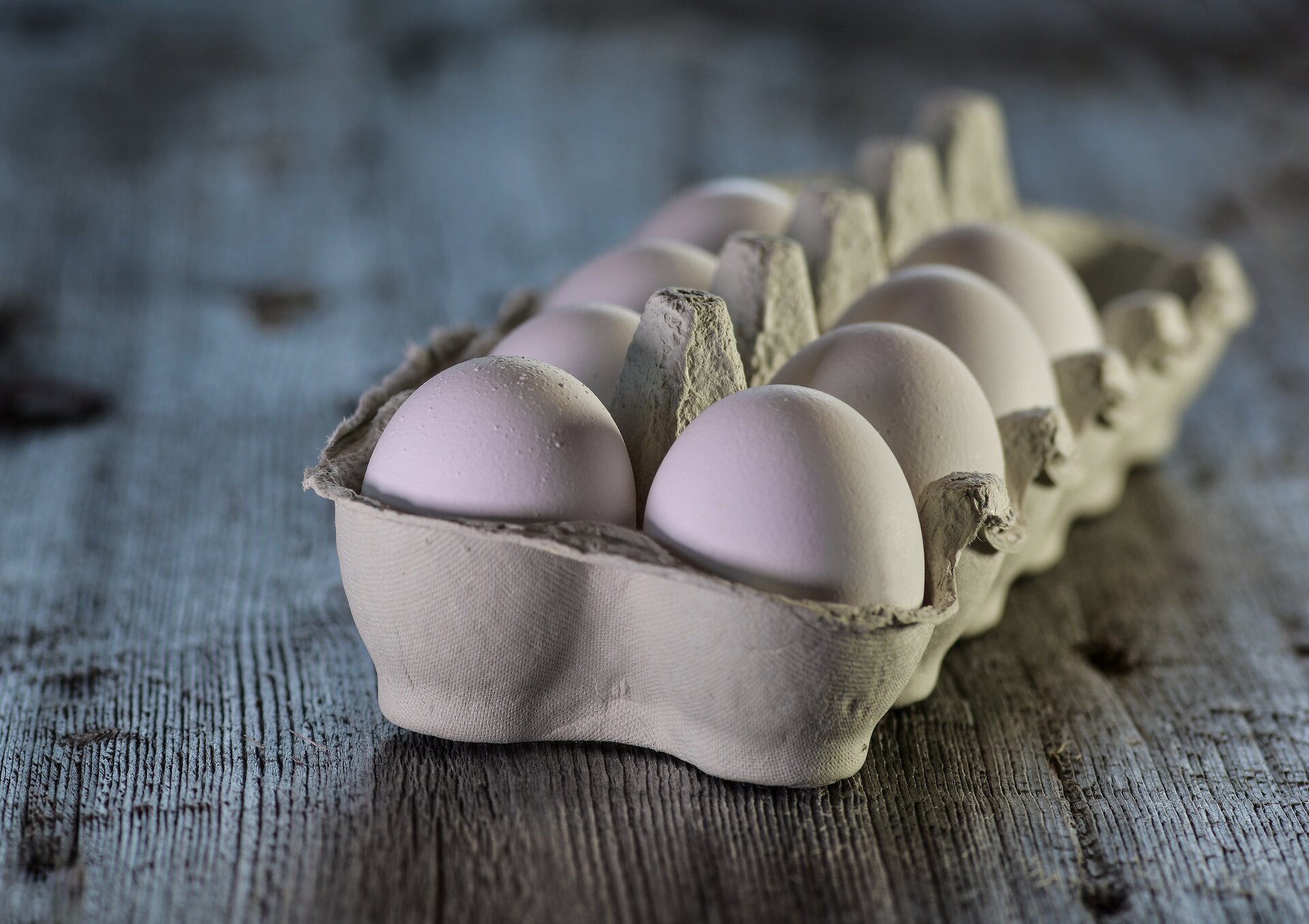 Ilustracja przedstawia jajka.