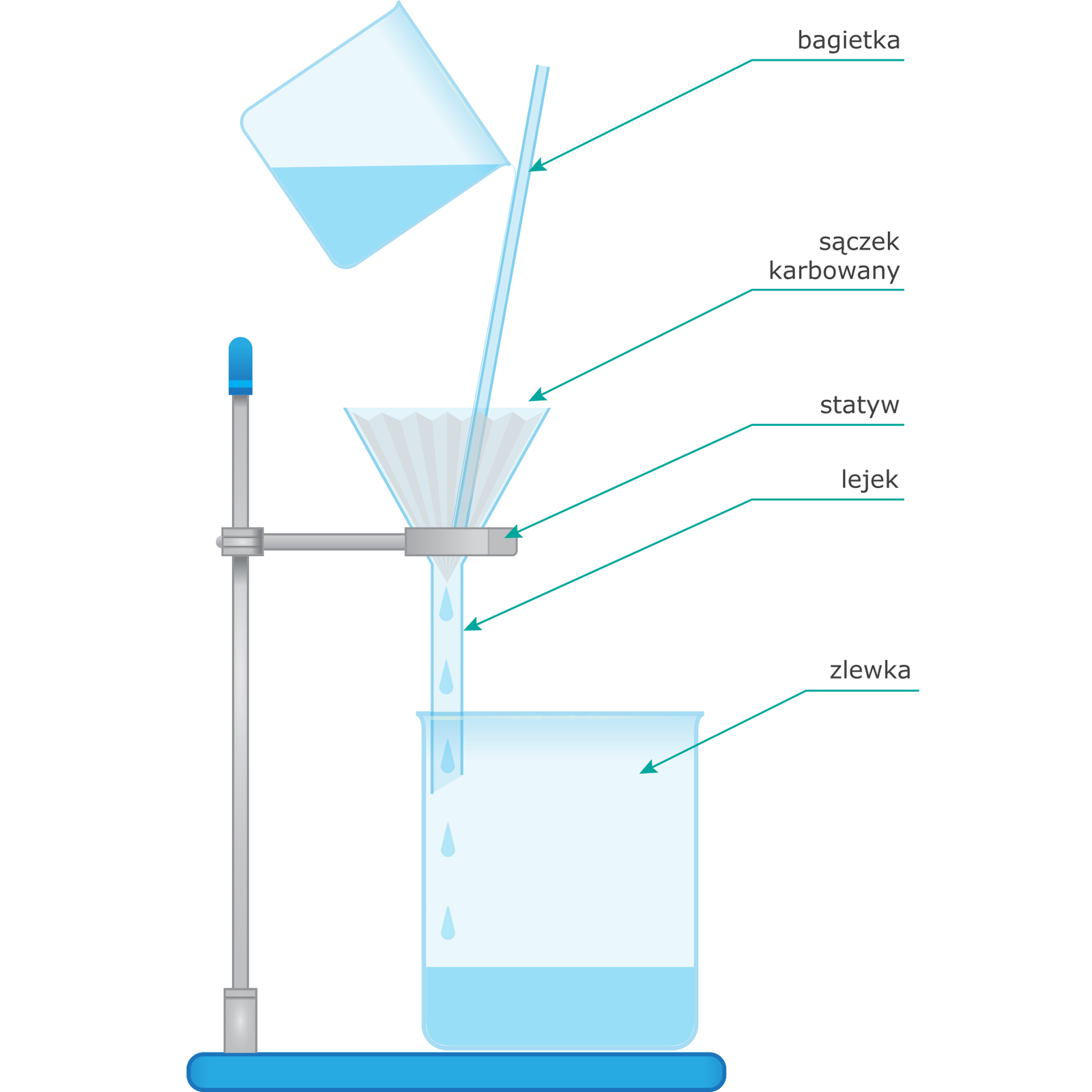 Schemat doświadczenia. Grafika przedstawia zamontowany na statywie zestaw do sączenia. Na statywie zamontowane jest koło z włożonym w niego lejkiem, w którym umieszczony jest sączek karbowany. Nóżka lejka umieszczona jest wewnątrz znajdującej się poniżej zlewki i dotyka jej ścianki. Woda zabarwiona atramentem jest nalewana na sączek po szklanej bagietce.