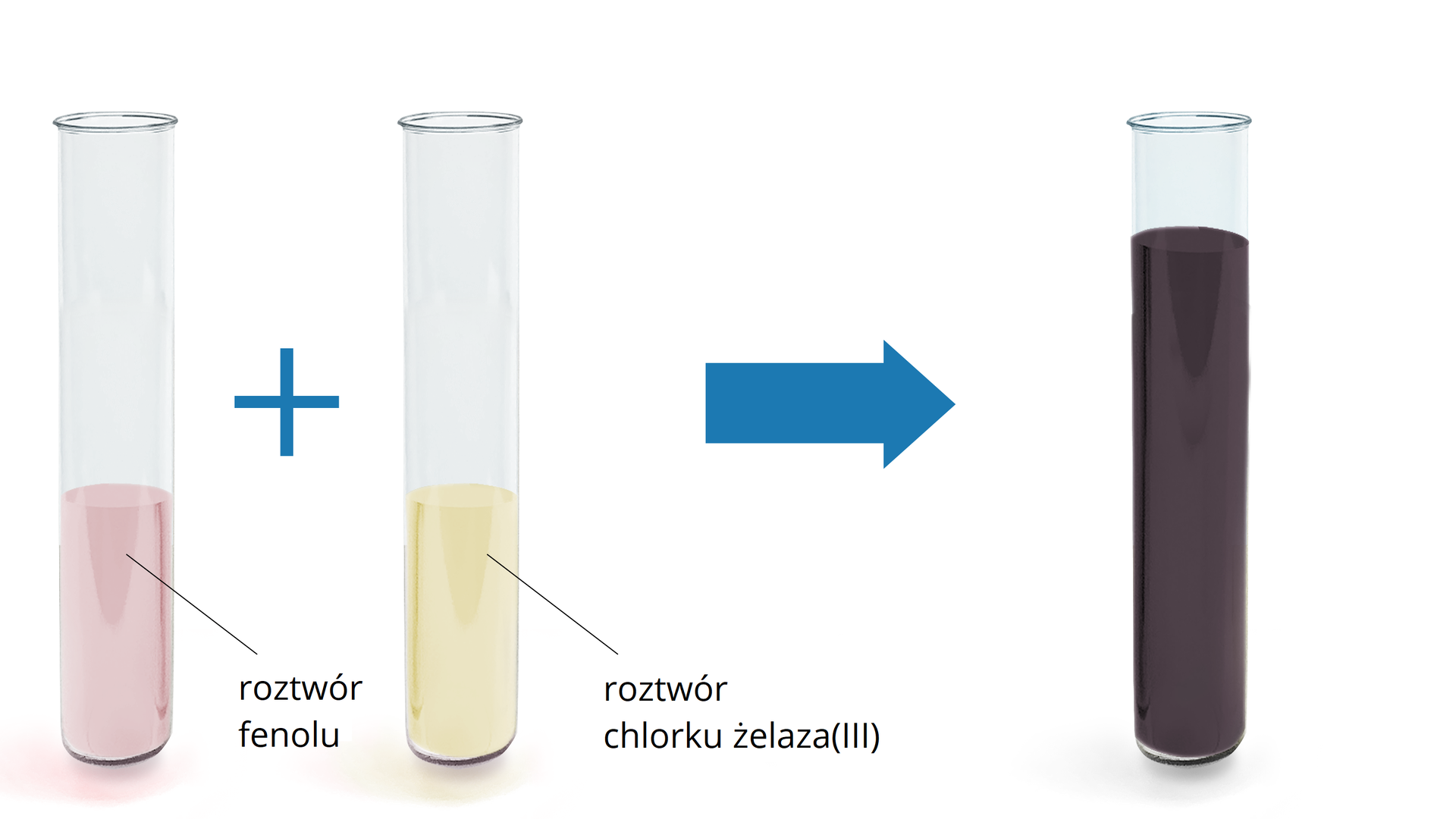 Ilustracja przedstawia schematycznie barwną wizualizację reakcji fenolu z chlorkiem żelaza<math aria‑label="trzy">III. Po lewej stronie znajduje się probówka z różowawym roztworem fenolu. Dodać zawartość probówki drugiej, zawierającej żółty roztwór chlorku żelaza<math aria‑label="trzy">III. Strzałka w prawo, za strzałką probówka po połączeniu wymienionych roztworów. Zawiera ona fioletowy roztwór, powstały z uwagi na utworzenie barwnego kompleksu jonów żelaza z cząsteczkami fenolu.