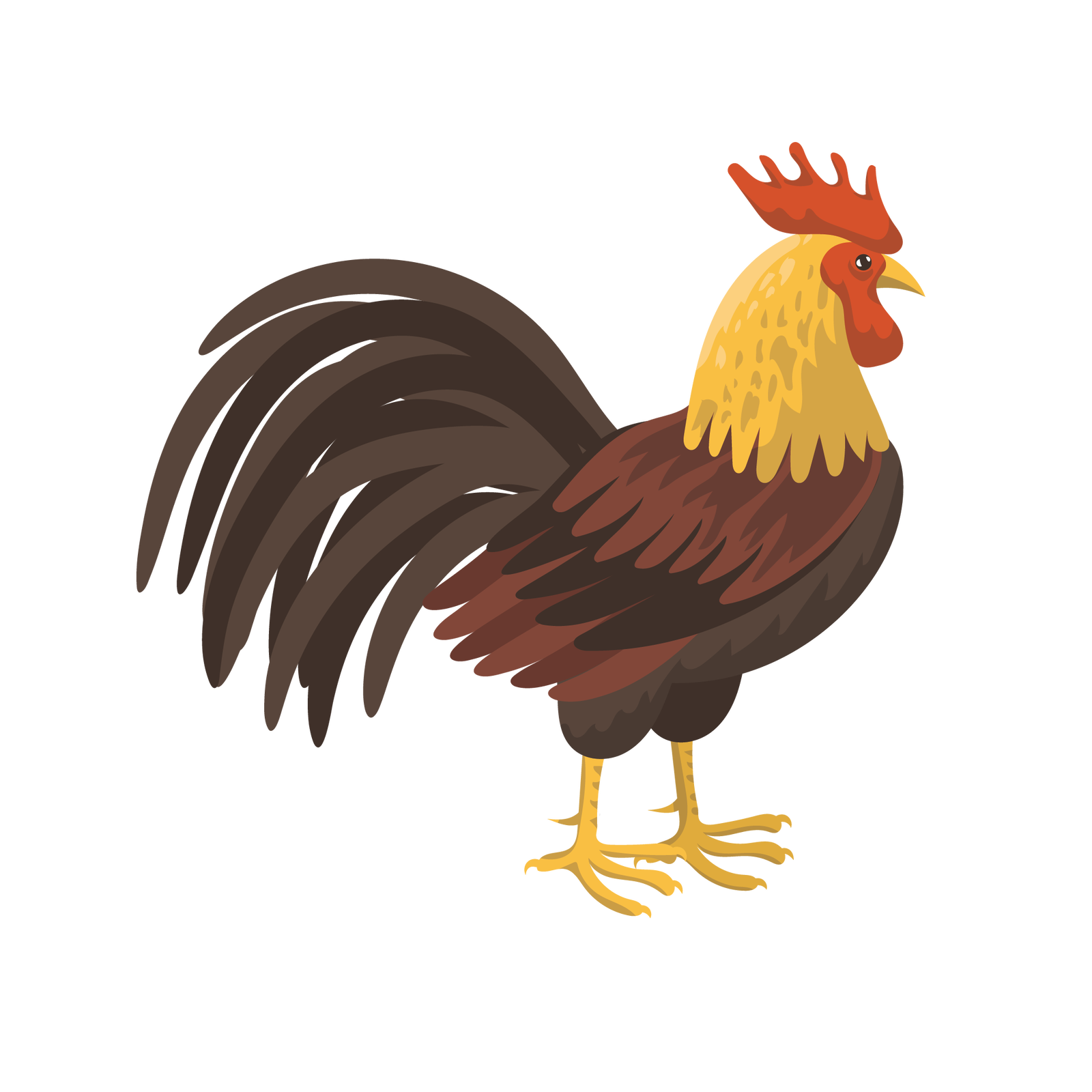 Ilustracja przedstawia koguta. Jest to ptak o żółto‑ciemnobrązowym upierzeniu, posiadający czerwony grzebień na małej głowie, żółty dziób, dwie żółte nogi zakończone pazurami i pierzasty ogon.