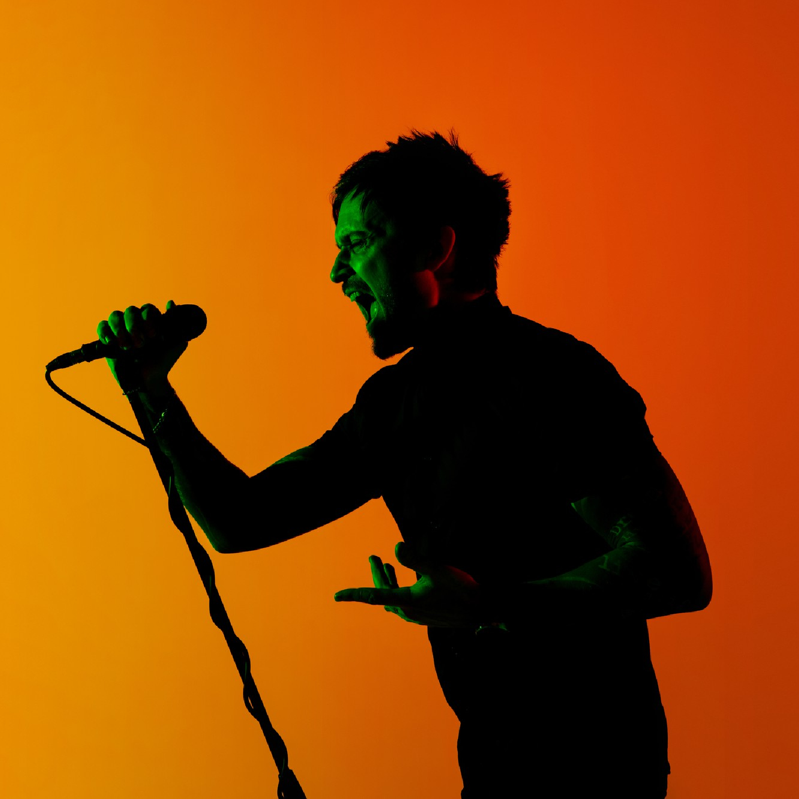 Ilustracja przedstawia śpiewaka, na którego pada zielone światło. Śpiewak trzyma w dłoni mikrofon, przymocowany do statywu.