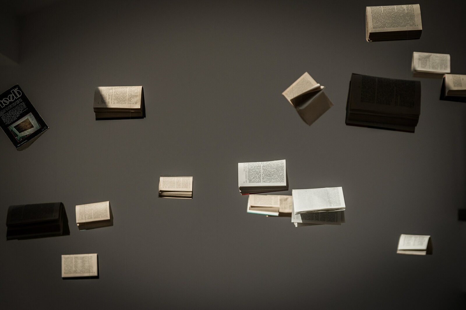 Zdjęcie. Na szarym tle unoszą się w powietrzu otwarte książki.