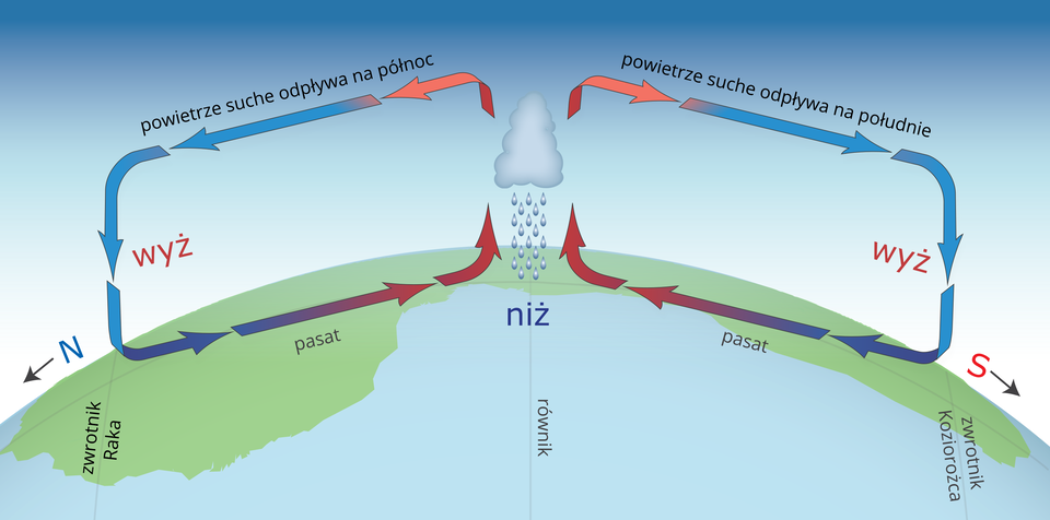 Ilustracja przedstawia fragment kuli ziemskiej od zwrotnika Raka do zwrotnika Koziorożca. Odwrócono ją tak, że przez środek fragmentu kuli ziemskiej z góry na dół przechodzi równik. Na równiku opisano niż. Nad równikiem jest chmura z widocznym opadem deszczu. Na lewo i prawo od chmury są wiejące wiatry. Kierunek wiatrów wskazują niebieskie i czerwone strzałki. Nad równikiem na wysokości chmury strzałki rozchodzą się poziomo na lewo i na prawo. To antypasaty. Strzałki skręcają w stronę powierzchni Ziemi na wysokości zwrotników, gdzie opisano wyż. Przy powierzchni Ziemi strzałki skierowane są poziomo w stronę równika. Opisano je jako pasaty. Strzałki wskazują stałą cyrkulację wiatru od równika i ponownie w kierunku równika.