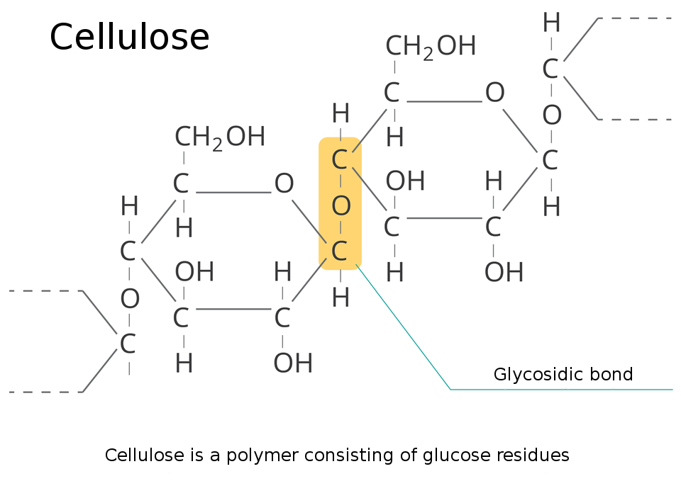 Ilustracja przedstawia wzór strukturalny celulozy. Celuloza jest polimerem składającym się z reszt glukozy, ponieważ posiada glukozowe wiązania (symbole pierwiastków glukozowego wiązania: ce, o oraz ce.